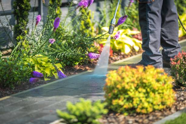 Best Dumpster Area Cleaning  in Taylors, SC