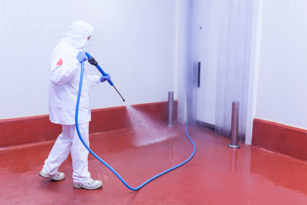 Best Warehouse Cleaning  in Taylors, SC
