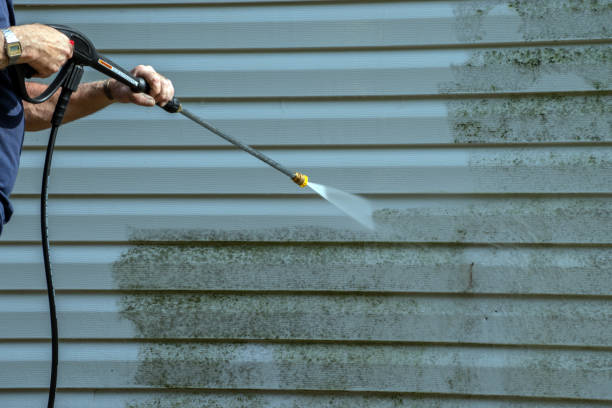 Boat and Dock Cleaning in Taylors, SC